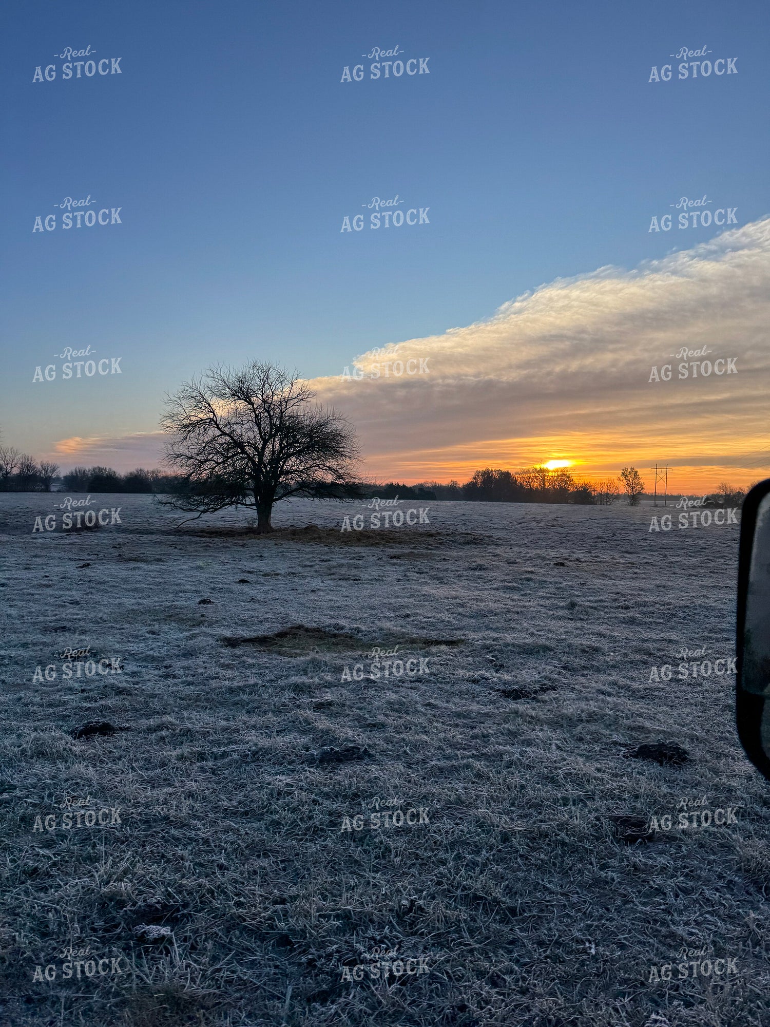 Scenic Pasture 228008