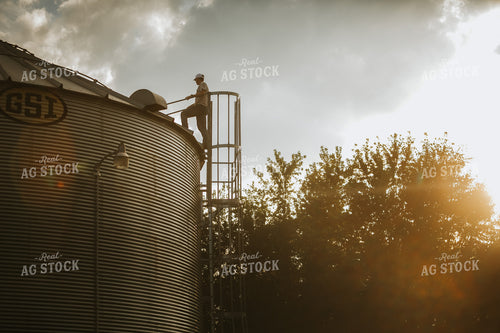 Farmer On Top of Grain Bin 4805