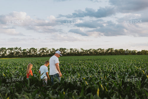 Farmer and Kids Checking Corn 8781