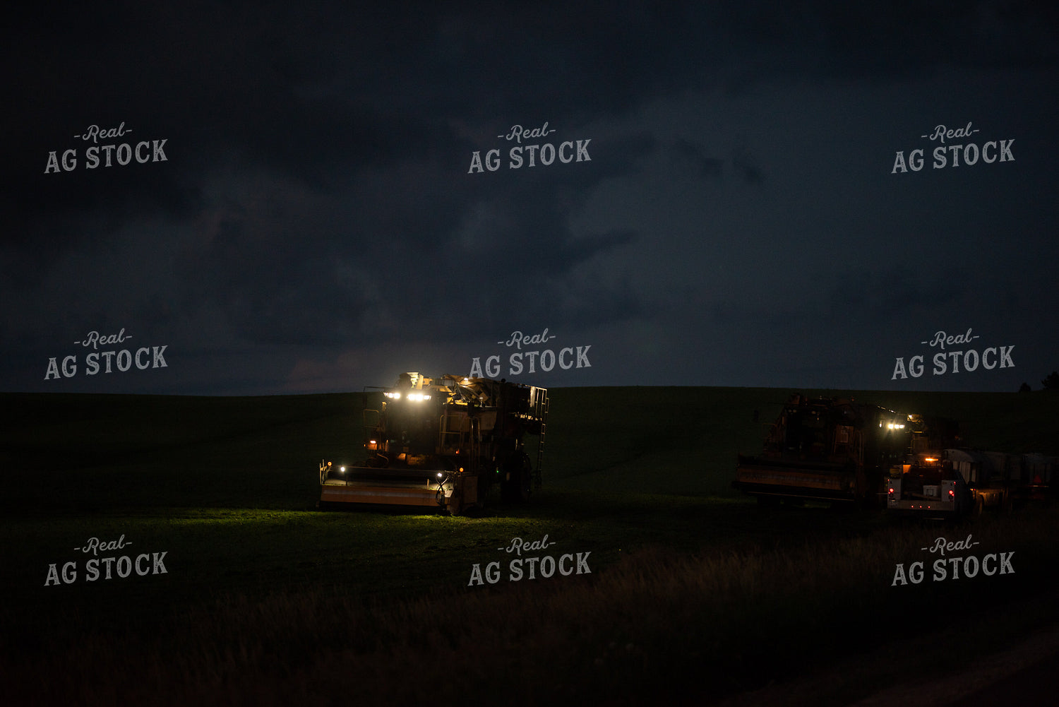 Harvesting Peas at Night 76174