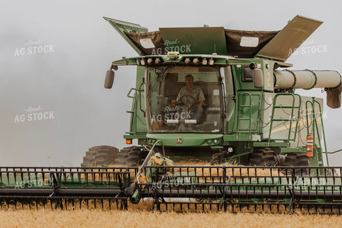 Wheat Harvest 187222