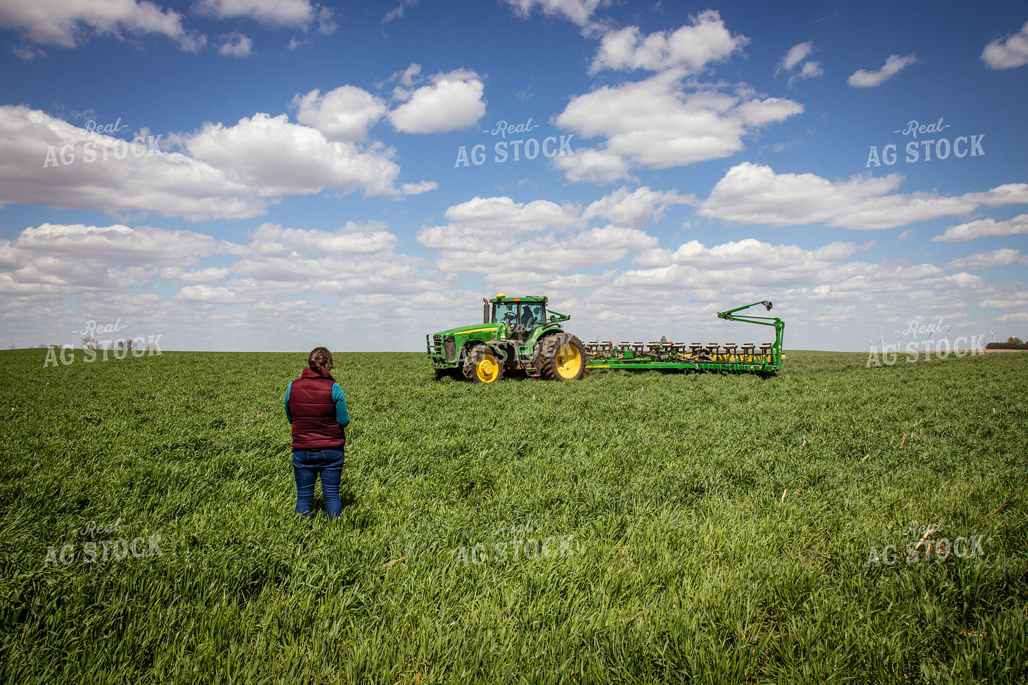 Planting into Cover Crops 67692