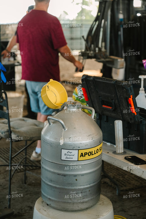 Artificial Insemination (AI) Cryogenics Storage Tank 125118