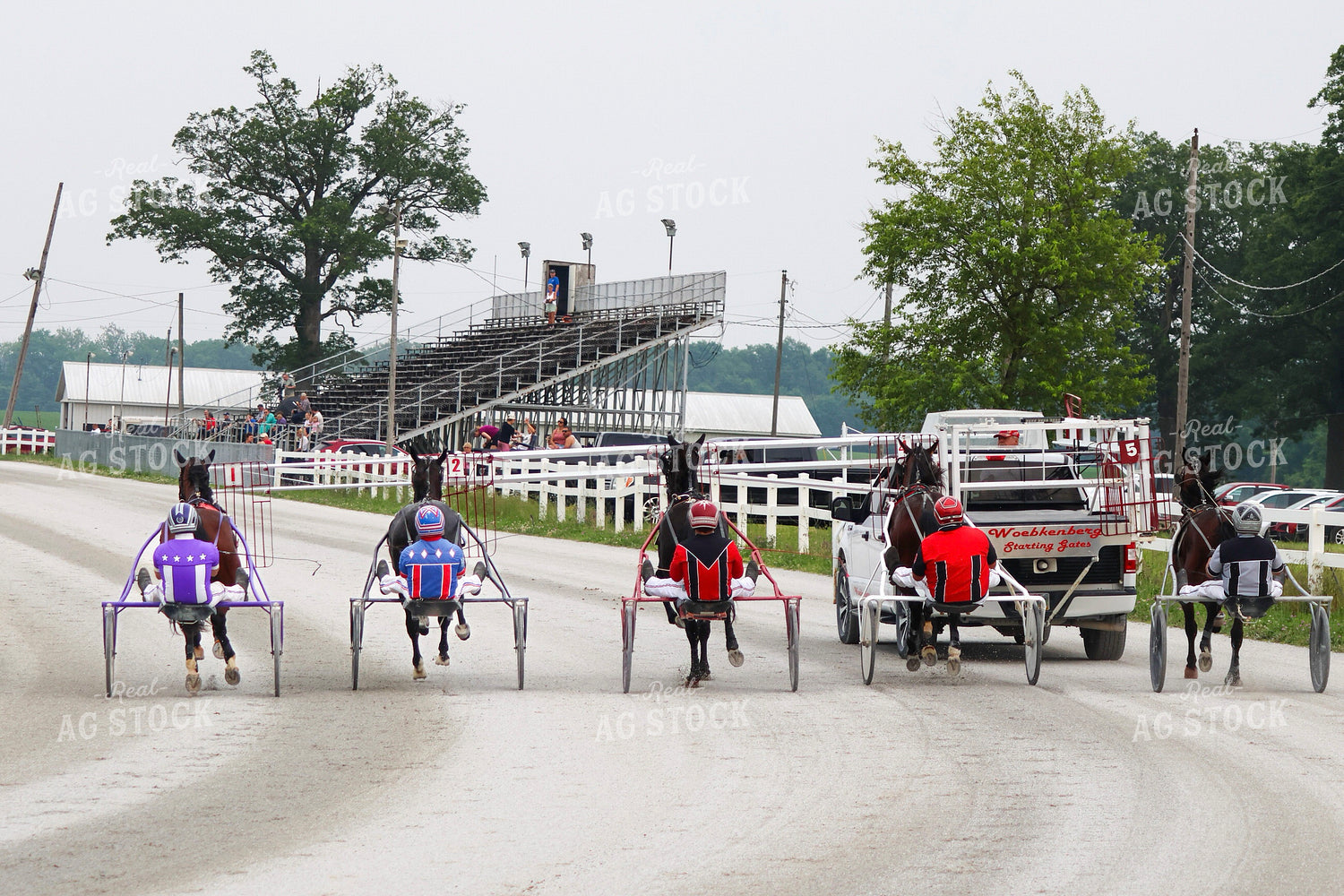 Harness Racing 109166
