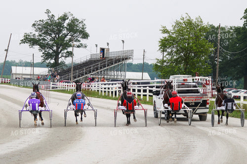 Harness Racing 109166