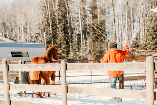 Rancher with Horse 64208