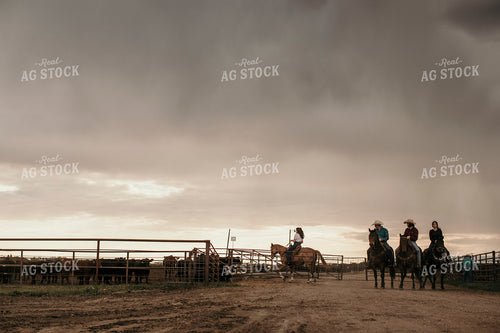 Feedyard 3094