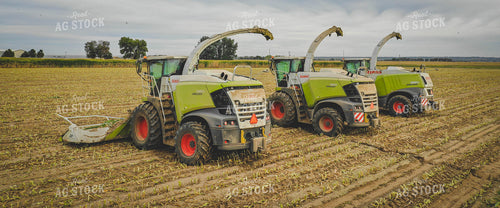 Silage Harvest 56041
