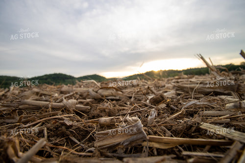 Crop Residue 52137