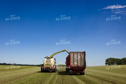 Harvesting Hay Silage 152441