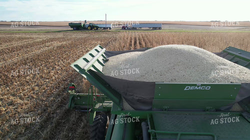 Aerial of Harvesting White Corn 65579