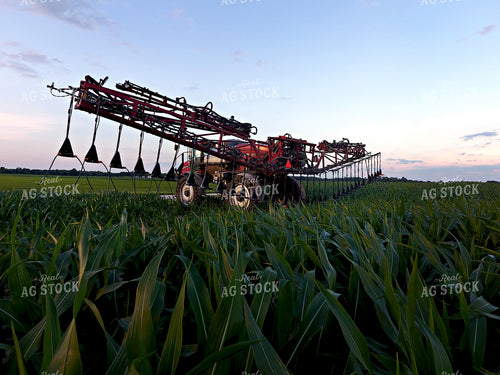 Y-Drop Nitrogen 100000