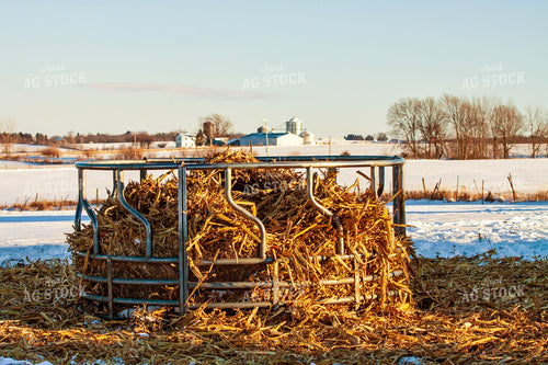 Corn Stalk Bale 150026