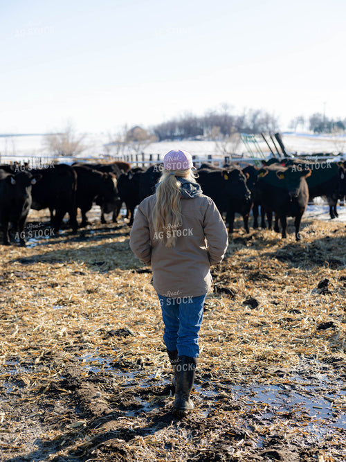 Rancher in Cattle Fence 70228