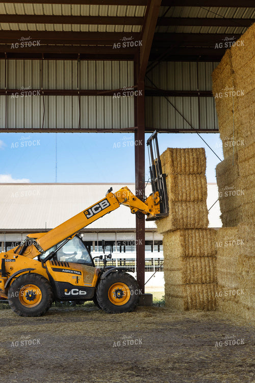 Stacking Wheat Straw Bales 152601