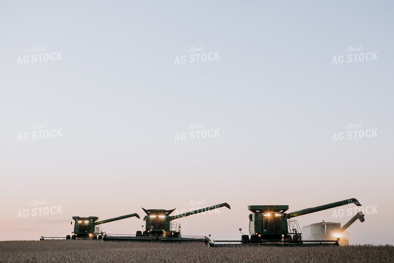 Soybean Harvest 77294
