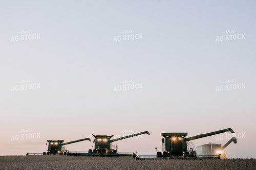 Soybean Harvest 77294