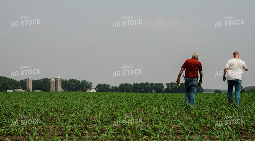 Scouting Corn Field 133019