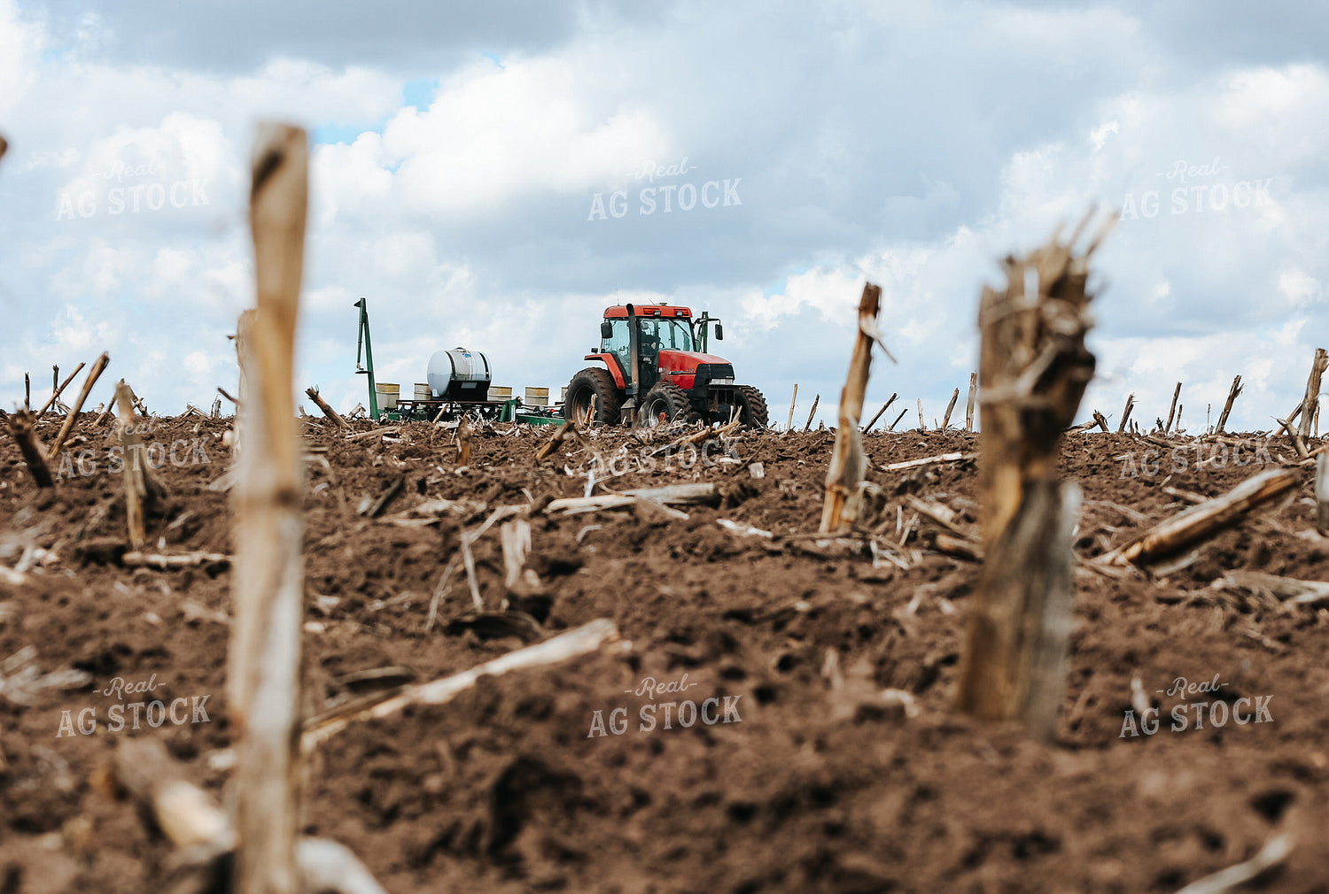 Planting 187033