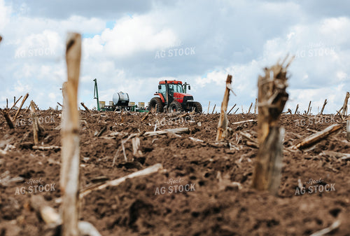Planting 187033