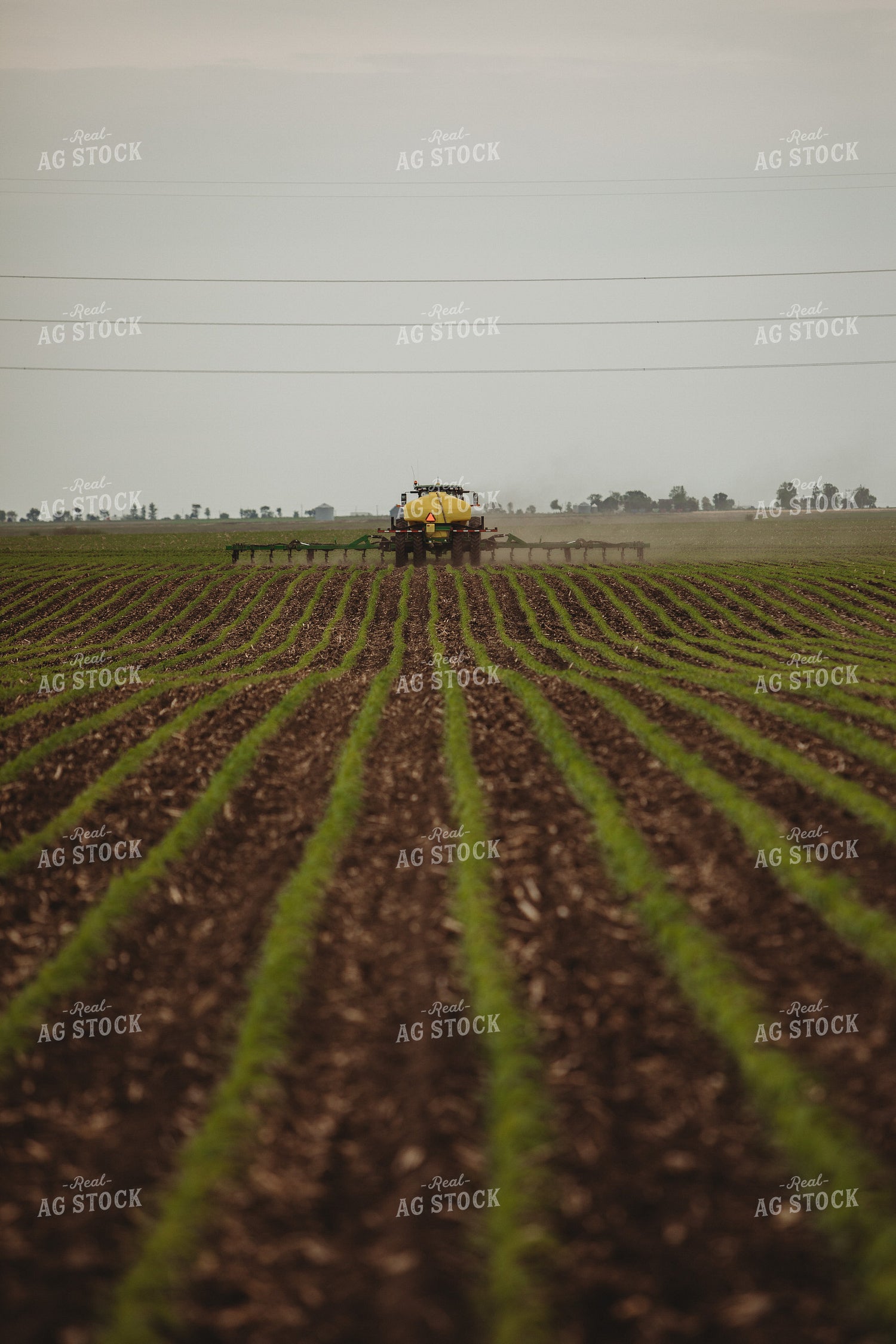 Side Dressing Fertilizer in Corn Field 5739