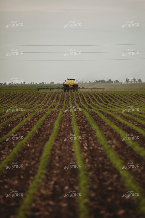 Side Dressing Fertilizer in Corn Field 5739