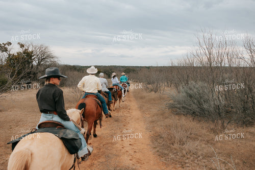Trail Ride 205137