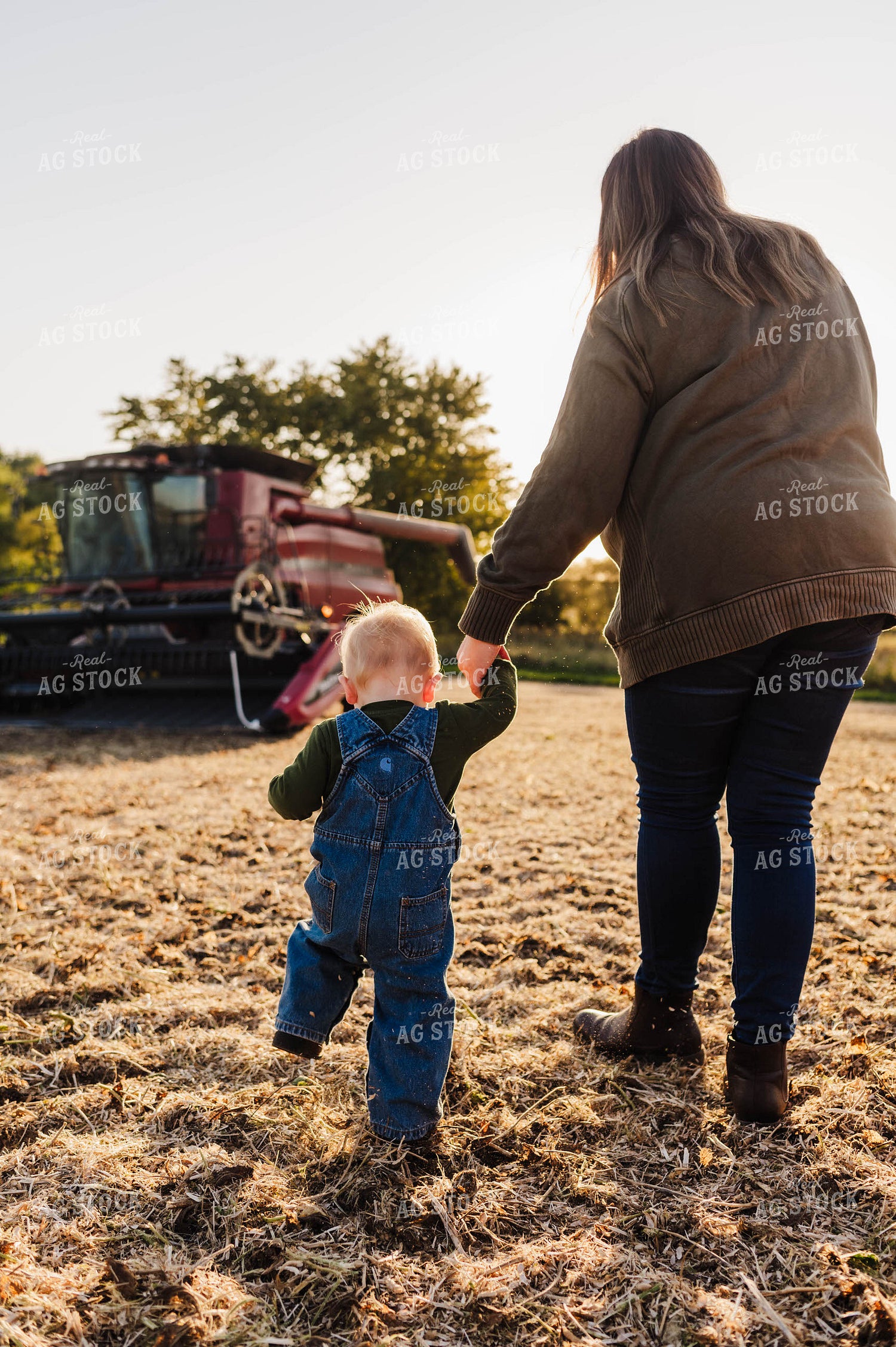 Farm Kid Walking to Combine 115174