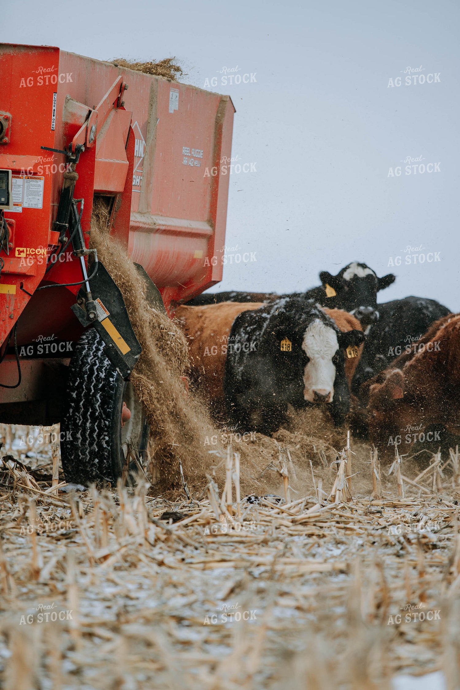 feed mixer Dispensing Feed 77175