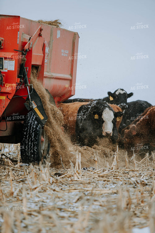 feed mixer Dispensing Feed 77175
