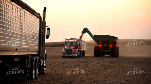Combine Unloading Soybeans into Auger Wagon 25771