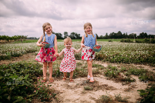 Farm Kids in Strawberry Patch 169027