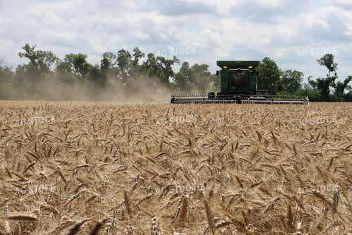 Combine Harvester in Wheat Field 227013