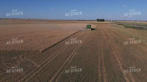 Wheat Harvest 239347