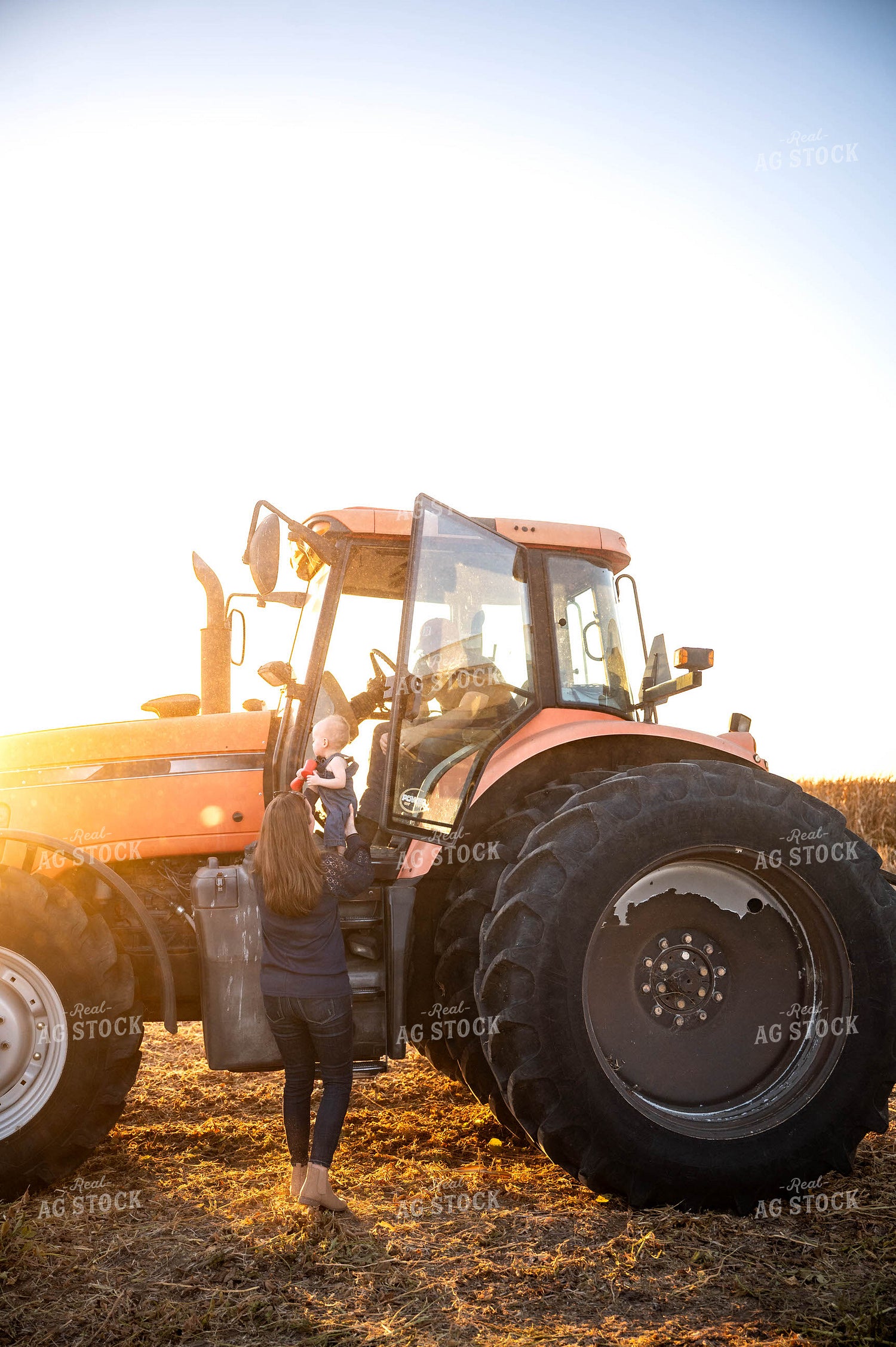 Farm Family at Soybean Harvest 115880