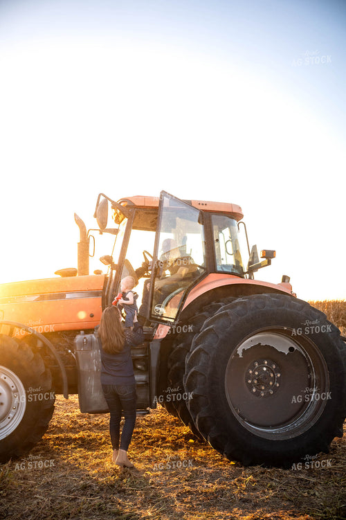 Farm Family at Soybean Harvest 115880