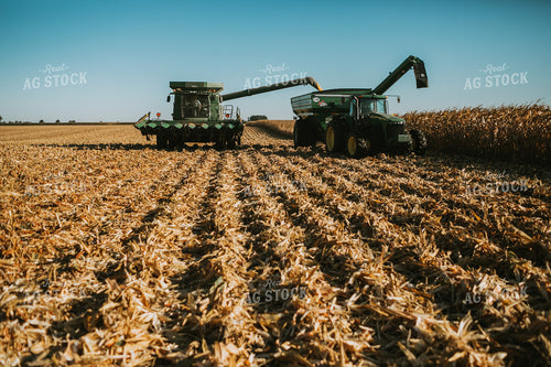 Combine Unloading Corn into Grain Cart 4673
