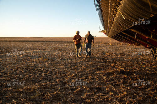Farmers Fixing Combine at Soybean Harvest 26005