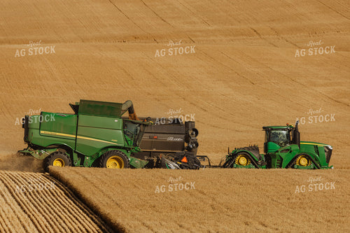 Wheat Harvest 187304