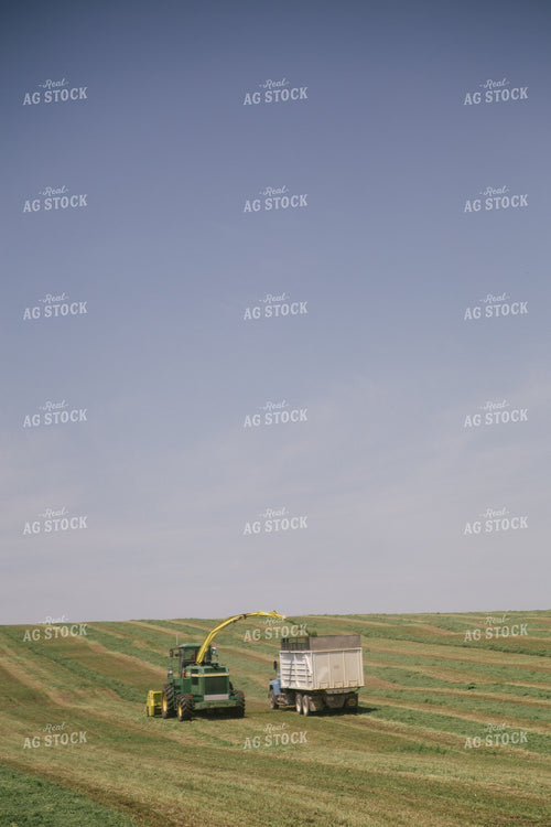 Harvesting Hay Silage 70066
