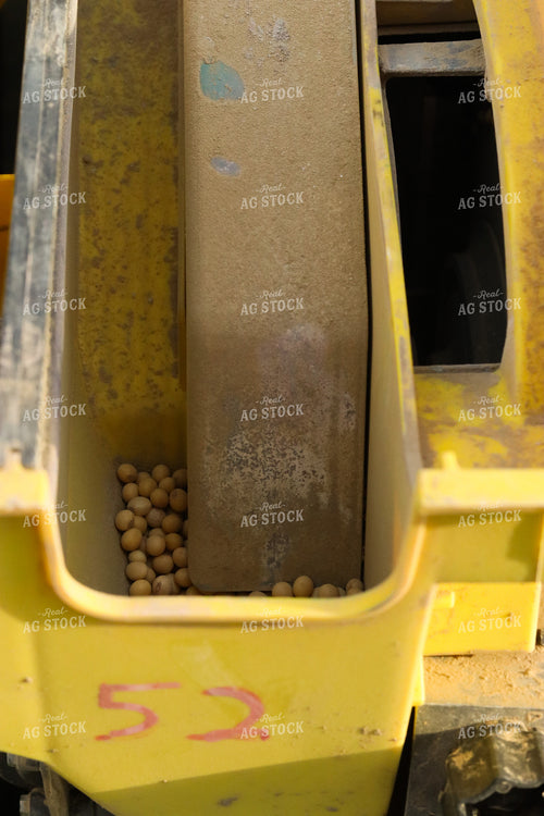 Soybean Seed in Planter 109164