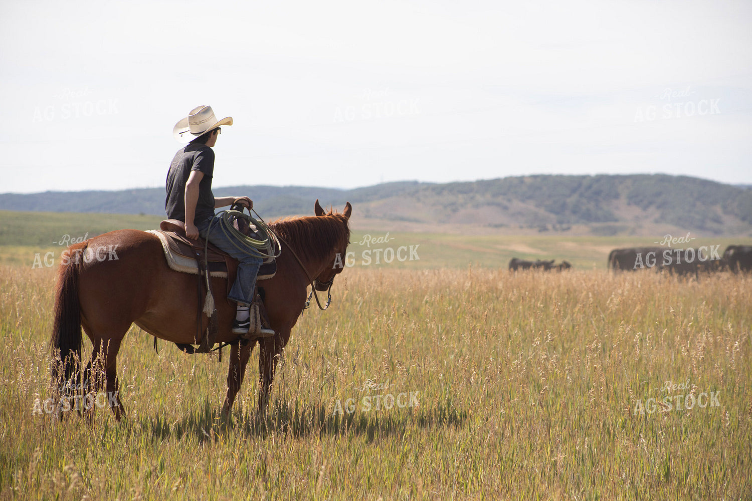 Cowboy on Horseback 117370