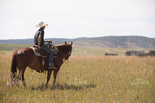 Cowboy on Horseback 117370