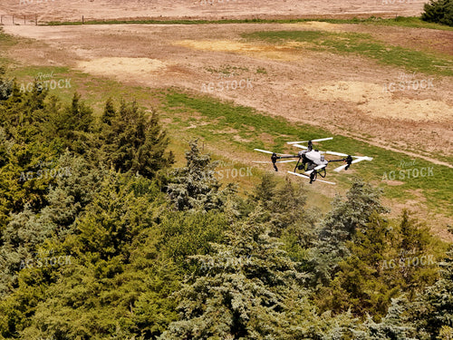 Drone Sprayer Spraying Bag Worms in Evergreens  239264