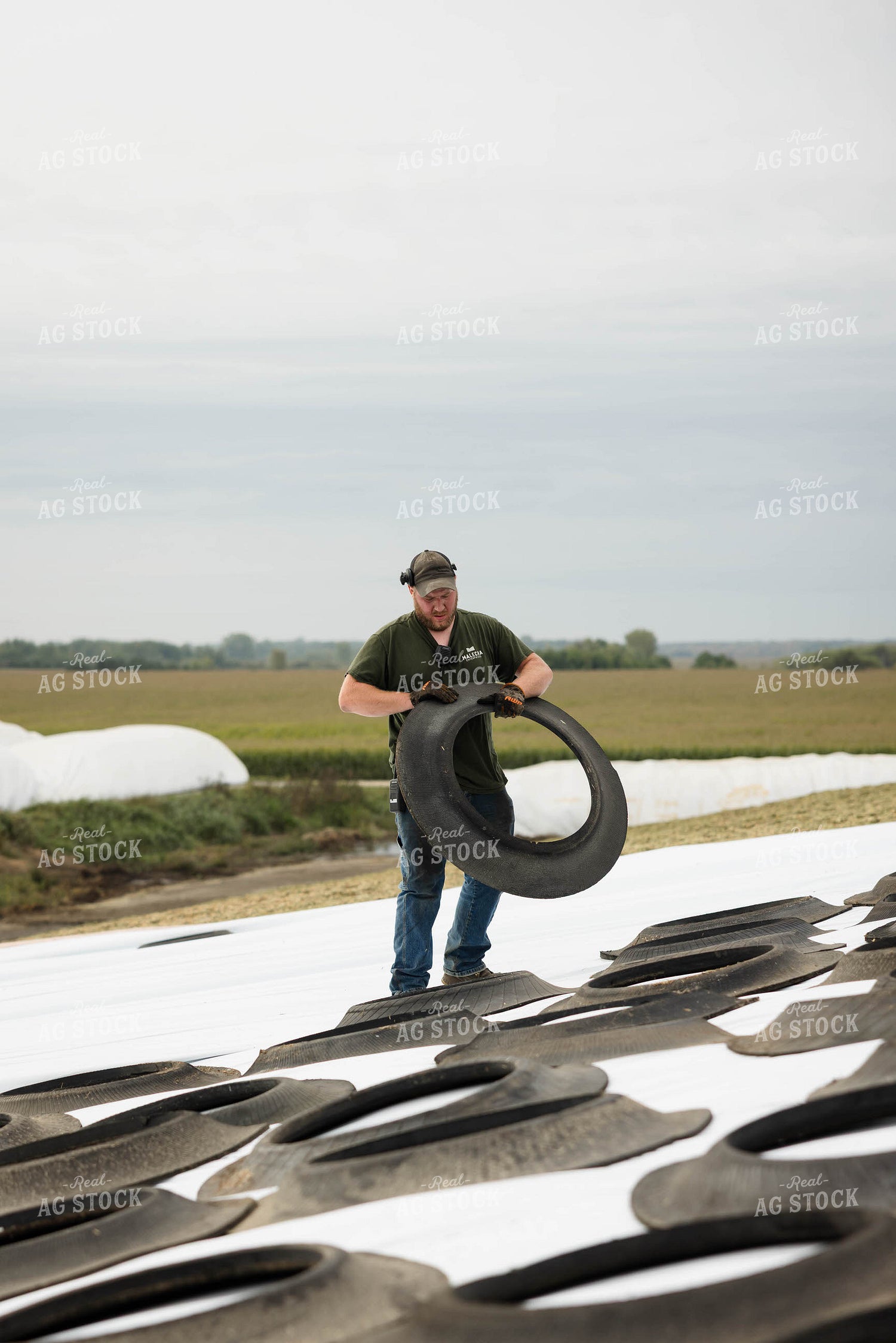 Storing Corn Silage 296016