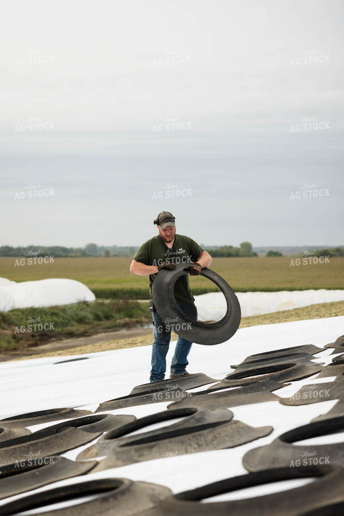 Storing Corn Silage 296016