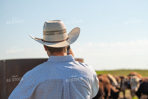 Rancher Talking on Phone 212120