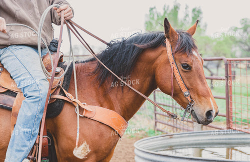 Rancher on Horseback and Water Tank 61011