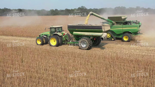 Soybean Harvest 79480