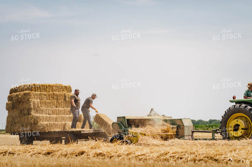 Baling Hay 115002